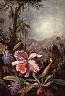 Martin Johnson Heade Orchids passion flower and hummingbirds painting